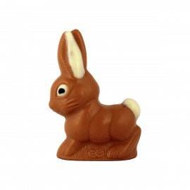 Moulage chocolat de Paques lapin copain grand modèle 320g - chocolat de  Pâques - Fabrication artisanale en France - chocolat de paques lapin poule